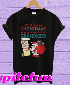 All I want for Christmas is my Grandkids T-shirt