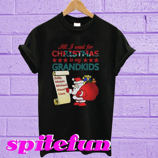 All I want for Christmas is my Grandkids T-shirt