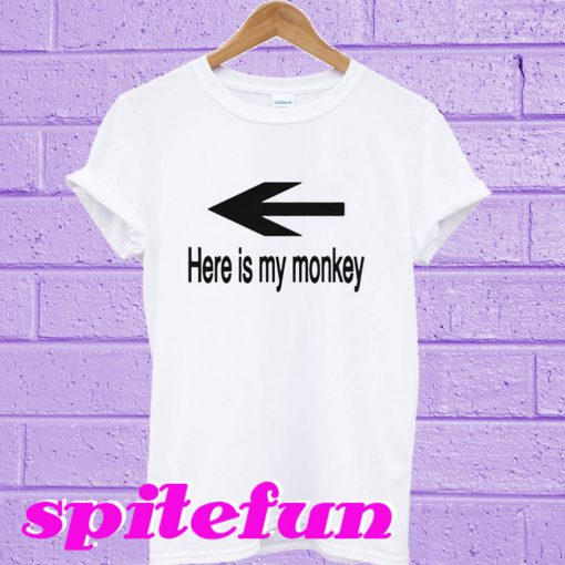 Here is my monkey T-shirt