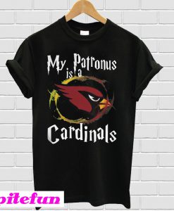 My patronus is a Arizona Cardinals football NFL T-shirt