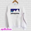 Patagonia Sweatshirt