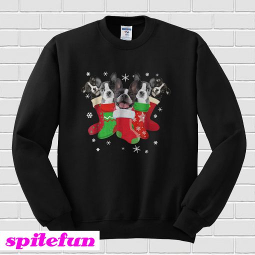 Boston Terrier Christmas socks Sweatshirt