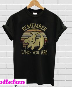 Lion King remember who you are T-shirt