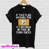 Pittsburgh Steelers If this flag offends you It’s because your team sucks T-shirt