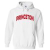 Princeton Hoodie