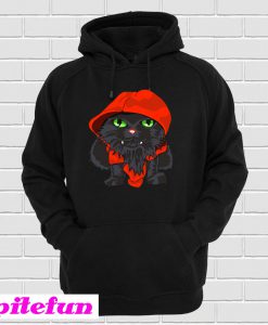 Cat in Hoodie