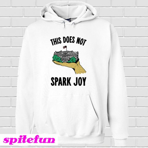 House Does Not Spark Joy Hoodie