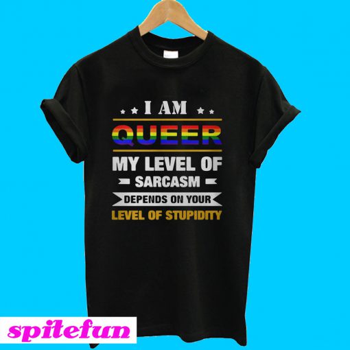 I am Queer my level of sarcasm depends on your level of stupidity T-shirt