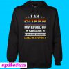 I am Queer my level of sarcasm depends on your level of stupidity Hoodie