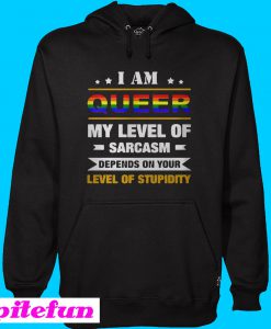 I am Queer my level of sarcasm depends on your level of stupidity Hoodie