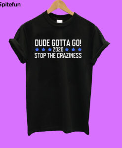 Dude Gotta Go Stop The Craziness 2020 T-shirt