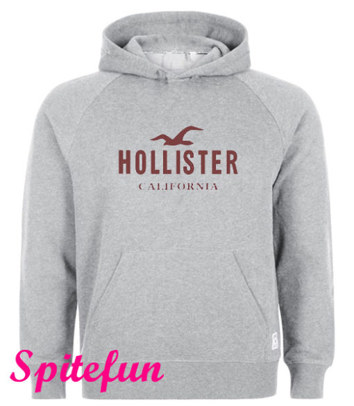 Hollister Hoodie