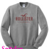 Hollister Sweatshirt