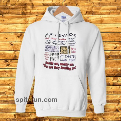 Friends TV Show Quote HOODIE