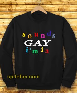 Sound Gay i'm In Sweatshirt