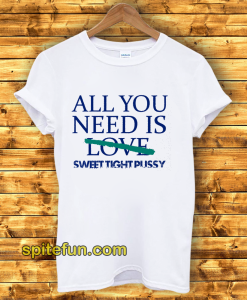 All You Need Is Sweet Tight Pussy T Shirt