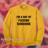 I'm A Ray Of Fucking Sunshine Sweatshirt